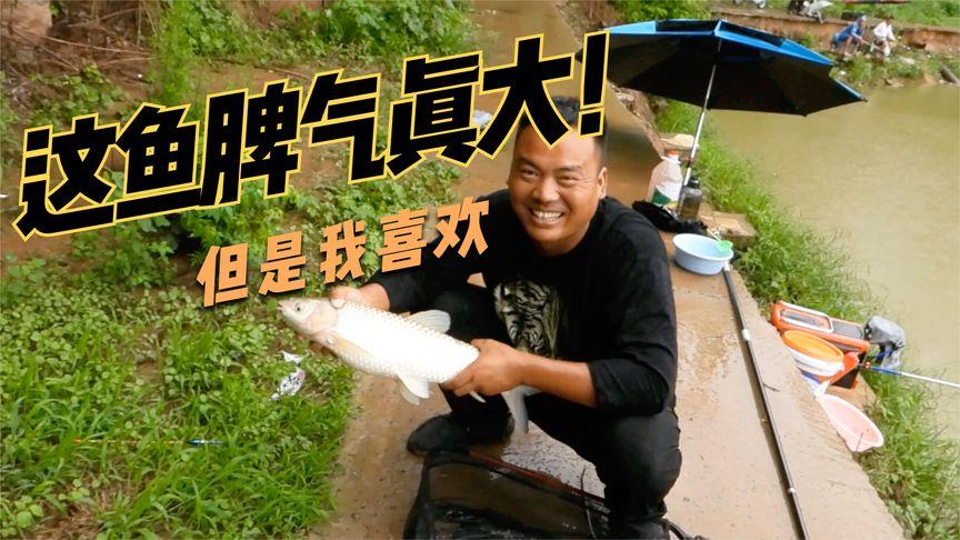六台彩开奖特马和把西瓜扔鱼塘喂鱼与把西瓜扔鱼塘喂鱼好吗