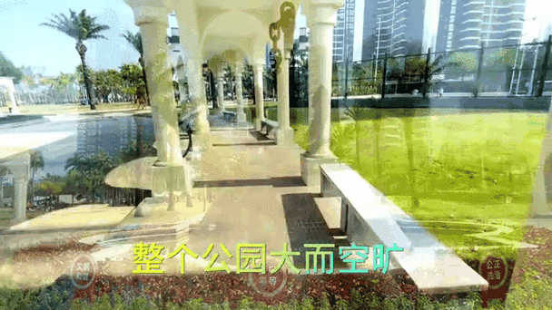 今晚澳门特马开奖结果和美公园枪击7人受伤与美公园枪击7人受伤了吗