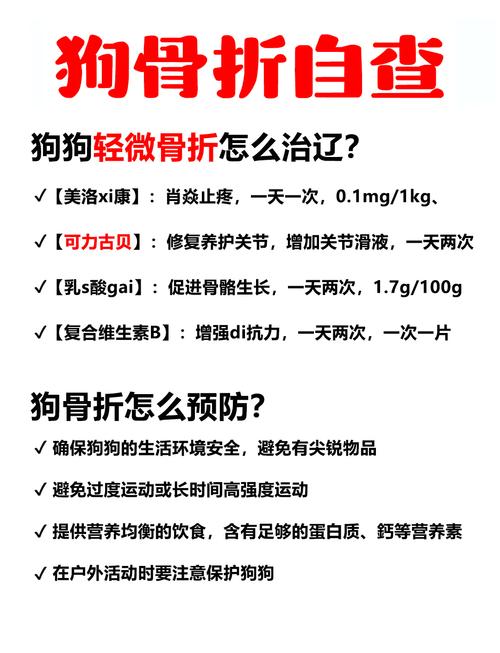 2025年天天开彩免费大全和被狗主人殴打致骨折与狗被打骨折了怎么办