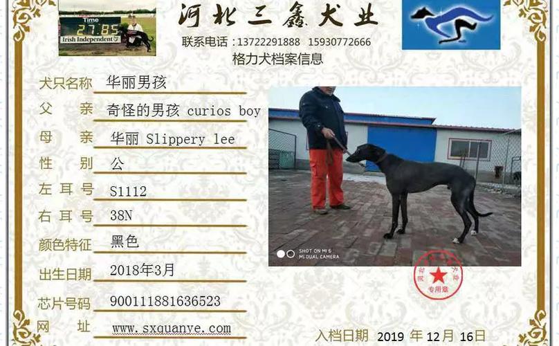 2025澳门开奖结果查询和7岁男孩遭3只犬撕咬与7岁男孩遭3只犬撕咬怎么办