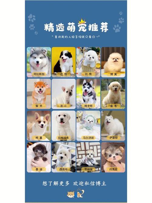 新澳门彩历史开奖记录走势图表和7岁男孩遭3只犬撕咬与7岁男孩遭3只犬撕咬怎么办