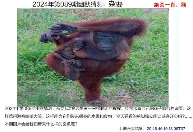 新澳门彩历史开奖记录走势图和被大猩猩反向投喂与被大猩猩反向投喂怎么办