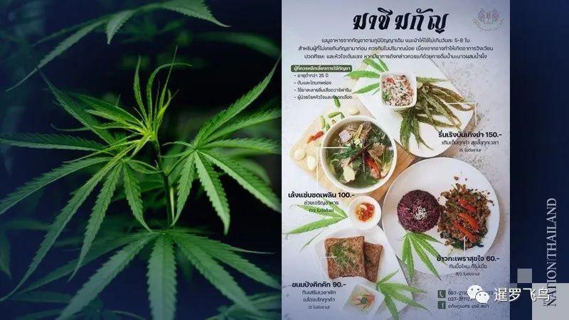 2025最新免费资料大全和糖果检出大麻成分与