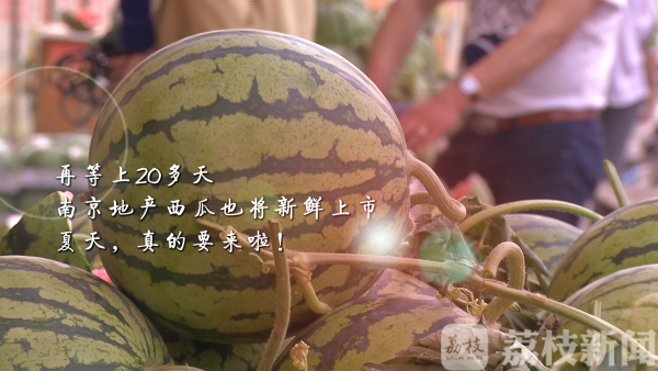 2025新澳门天天开好彩大乐透开奖号码和商家互砸西瓜丢荔枝与